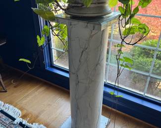 plant and live plant