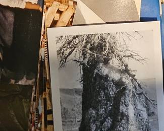 Full House Fri + Sat