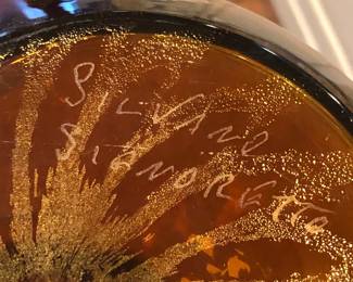 Murano Artist Signed: Silvano Signoretta