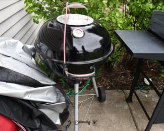 1135Back Yard
