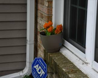 1131Front Yard