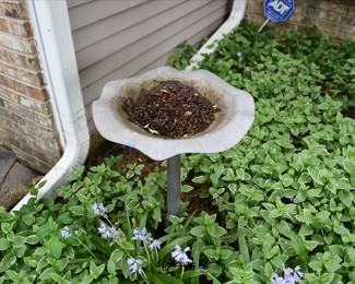 1133Front Yard