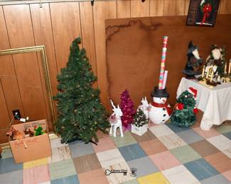 799Basement