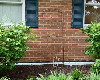 554Back Yard