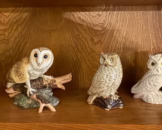 OWL's - who collects owls?  This home has an abundance!
