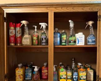 Cleaning products