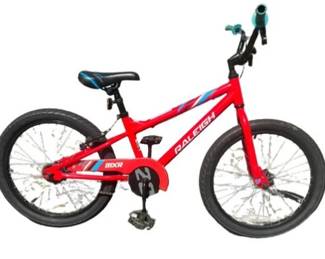 Raleigh 20 Kids Bike