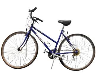 Schwinn Crossfit Bicycle