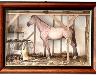 Framed Appaloosa Horse Diorama