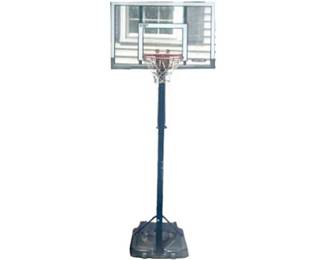 Lifetime Basketball Hoop