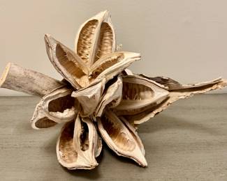 Decorative Seed Pod