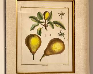 "Pastorale" Framed Botanical Print