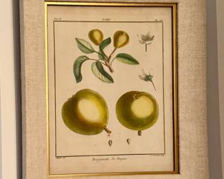 "Bergamolte de Paques" Framed Botanical Print