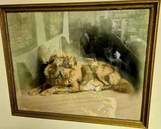 Vintage animal prints