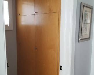 Built-in closet system