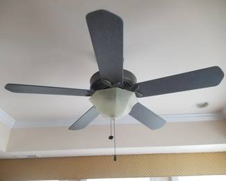 Lighted ceiling fan
