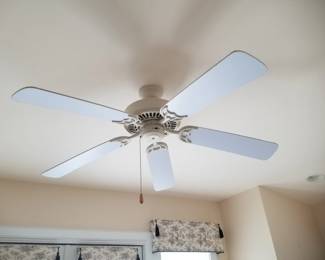 Ceiling fan