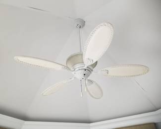 Ceiling fan