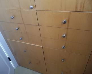 Built-in closet system