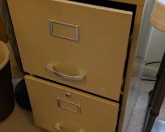 filing cabinet (2)