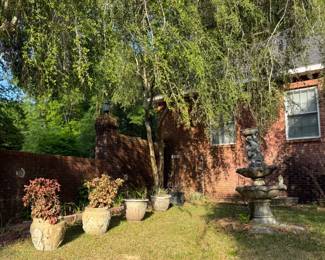 Large decorative flower pots