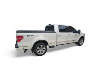 2009 Ford F150  Platinum series