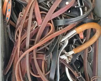 Bridles, ropes