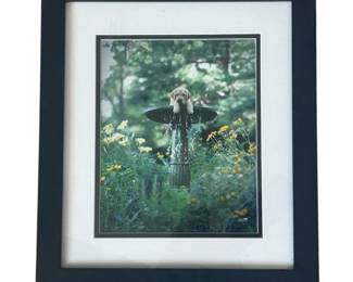 ar Ron Schmidt Loose Leashes Labrador Puppy Photo