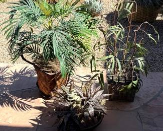3 Faux Potted Desert Plants