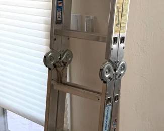 Tall Extension Ladder