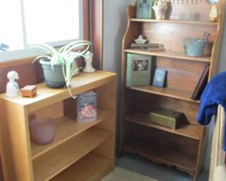 lots of shelving / bookcases