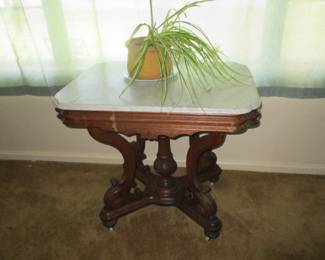 marble top / spider plant 