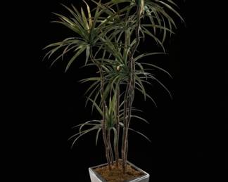 Artificial Dracaena Marginata (Dragon Tree)