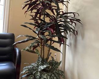 Artificial Dracaena and Aglaonema Plant in Decorative Pot