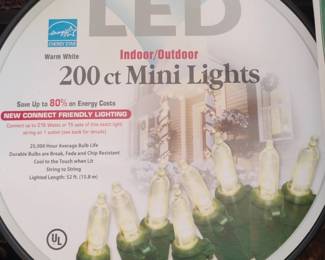 ct Warm White LED Mini Lights