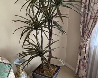 Artificial Dracaena Marginata Plant in Square Planter