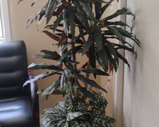 Artificial Dracaena and Aglaonema Plant in Dark Brown Square Pot