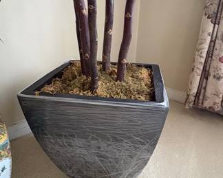Artificial Dracaena Marginata Plant in Square Planter