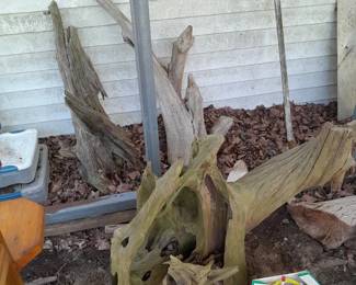 Large driftwood