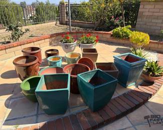 3012  17 Pots 6 Plants