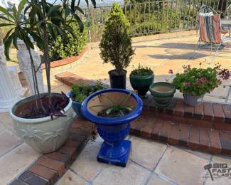 3006  8 Plants, 3 Pots