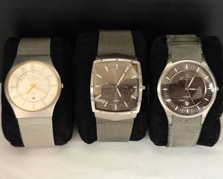 SKAGEN Mens Watch Collection