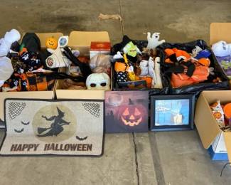Halloween Mystery Lot