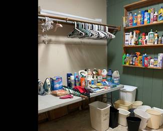 Laundry, cleaning, auto care items (picture not complete)