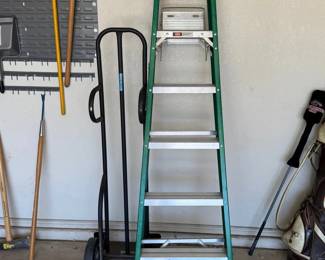 6 Ladder  Dolly