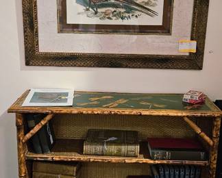 Beautiful dragonfly bookcase