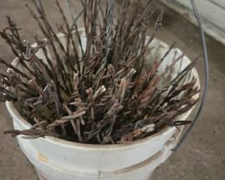 Collection of antique barbed wire