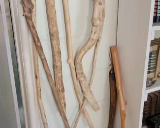 Walking sticks