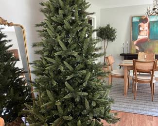 Christmas Tree in May