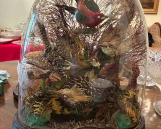 Bird diorama